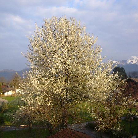 Apartments Donebauer Übersee Dış mekan fotoğraf