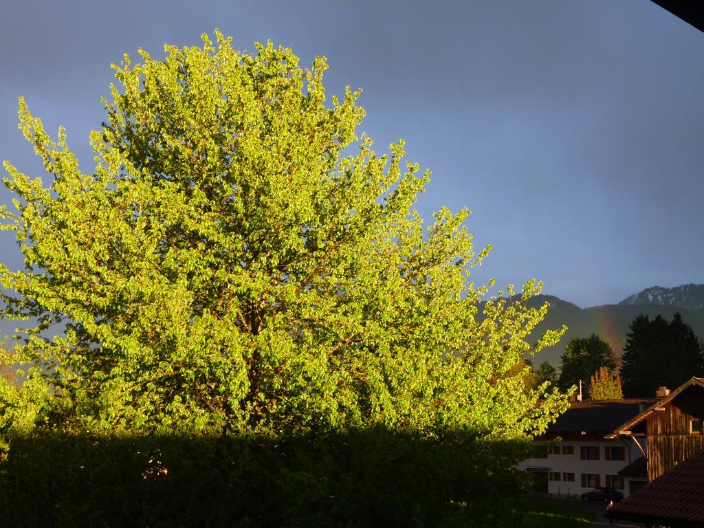 Apartments Donebauer Übersee Dış mekan fotoğraf