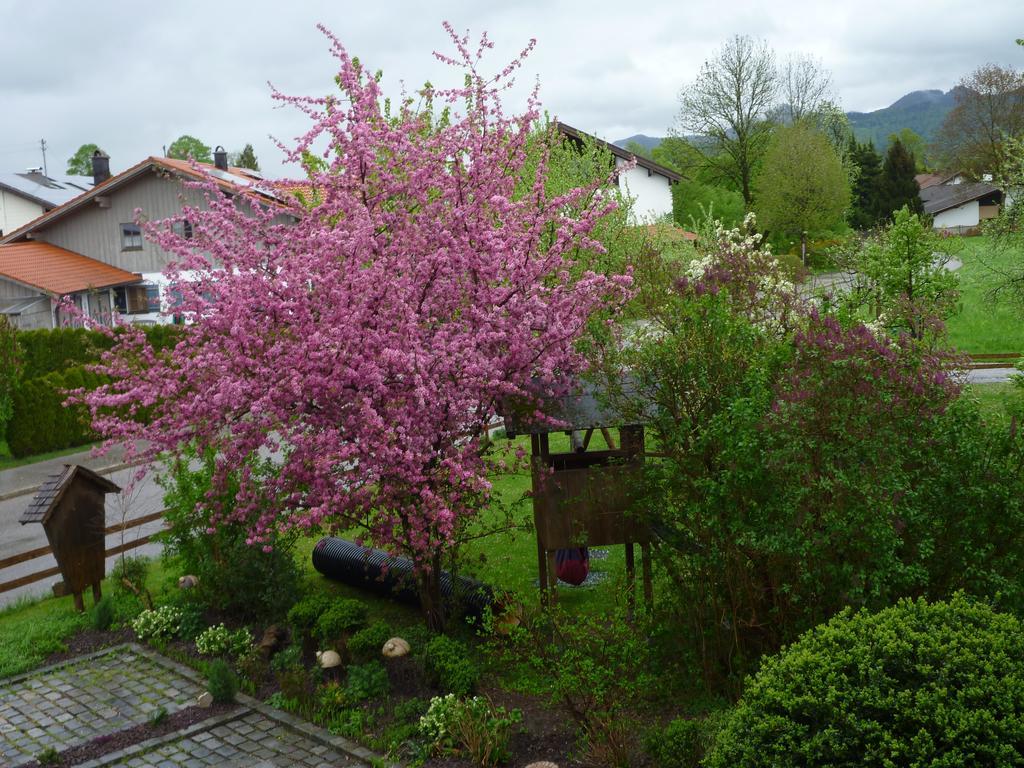 Apartments Donebauer Übersee Dış mekan fotoğraf